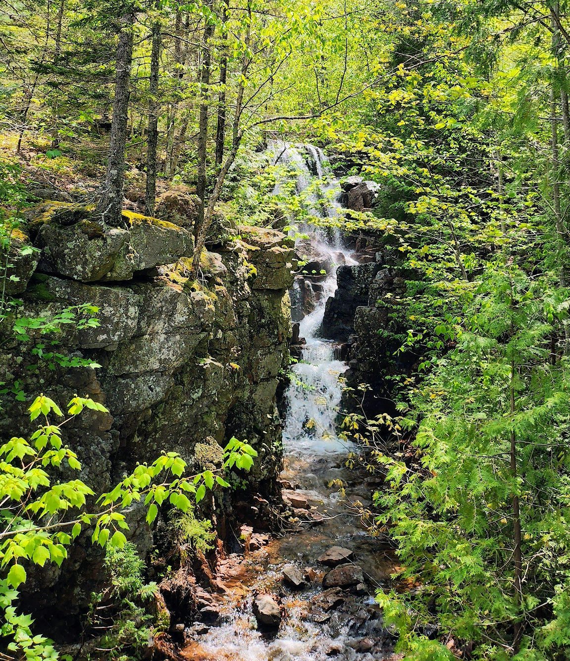 Chasm 3